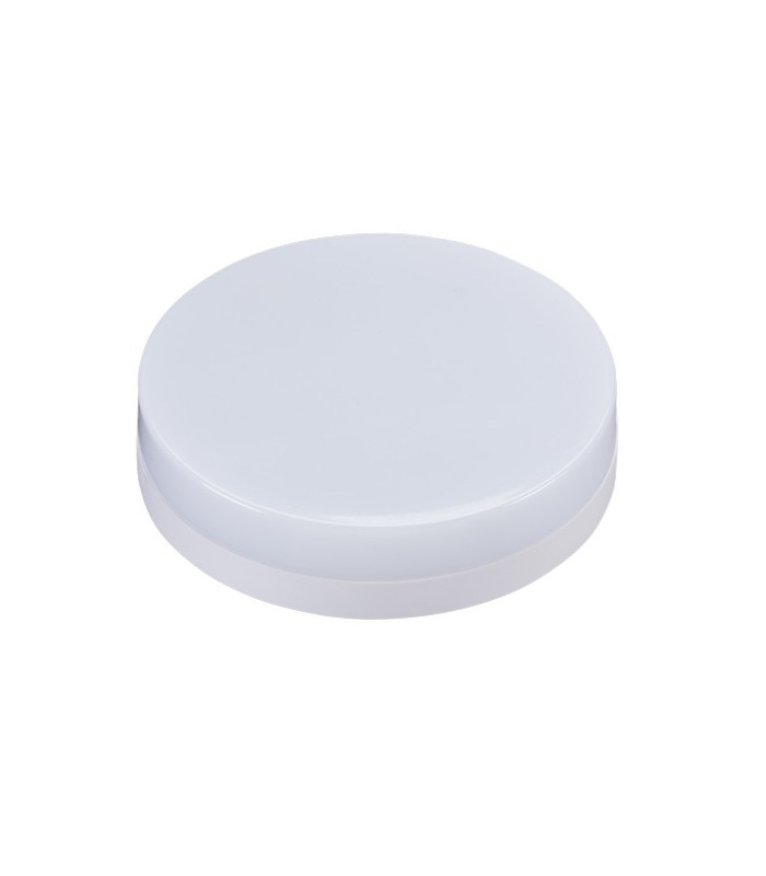 Stainless Steel Up/Down Wall Light with Pir