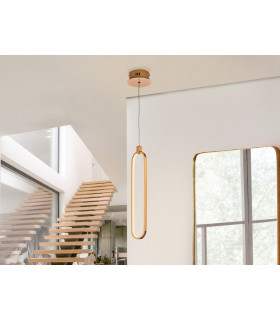 Integrated LED Pendant Light