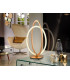 Integrated LED Table Lamp