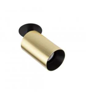 Recessed Downlight Ceiling Light Gold