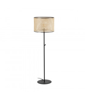 Floor Lamp with Shade Black