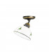 Cottage Style Glass Dome Ceiling Light Matt