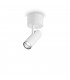 LED Decorative Surface Mounted Downlight Black White, 3000K