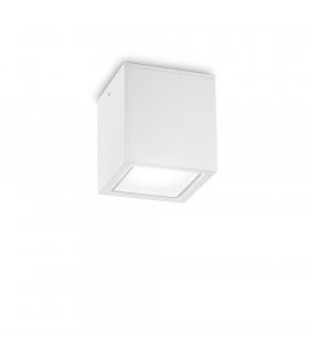 Outdoor Large Surface Mounted Downlight White IP54, GU10