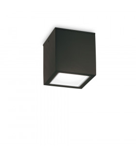 Outdoor Large Surface Mounted Downlight Black IP54, GU10