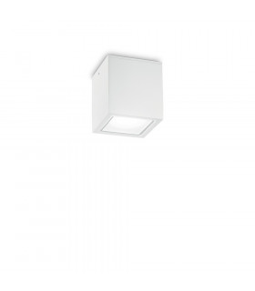 Outdoor Surface Mounted Downlight White IP54, GU10