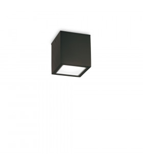 Outdoor Surface Mounted Downlight Black IP54, GU10