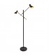 LED 2 Light Floor Lamp Matt Black, Gold - 1