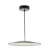 Dome Pendant Light LED Black & Stainless Steel