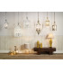 Lantern Circular Hall Dual Mount Polished Brass