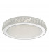 Flush Ceiling Light Acrylic & Stainless Steel Large LED