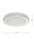 Flush Ceiling Light Acrylic & Stainless Steel Large LED