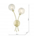 Wall Light Satin Brass Glass, 2x G9