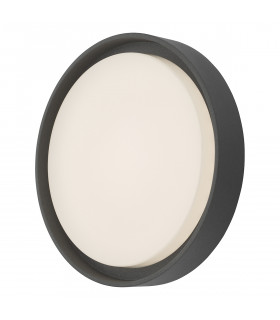 Simple Large Outdoor Wall Light Anthracite IP65 LED