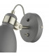 Single Wall Light Dark Grey Satin Chrome