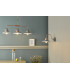 Dome Single Wall Light Graphite Copper
