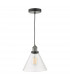 Dome Single Pendant Light Antique Nickel Clear Glass, 1x E27