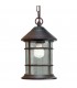 1 Light Outdoor Ceiling Light Rusty Brown - 1