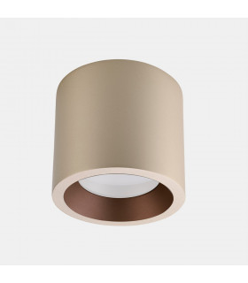 Outdoor LED Surface Mounted Downlight Small Gold IP65 12W 4000K