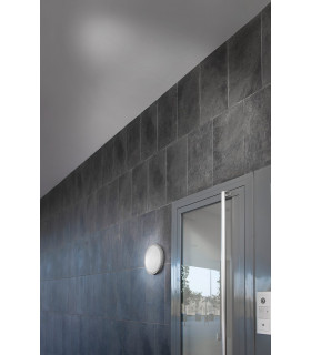 1 Light Outdoor Aluminium Ceiling Light Grey IP65 E27