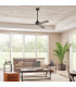 Kichler Ried 3 Blade 142cm Ceiling Fan Anvil Iron Remote Control