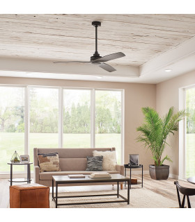 Kichler Ried 3 Blade 142cm Ceiling Fan Anvil Iron Remote Control