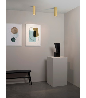 Surface Mounted Downlight Spot Light Matt Gold