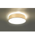 Cylindrical Flush Light White 25cm E27-3