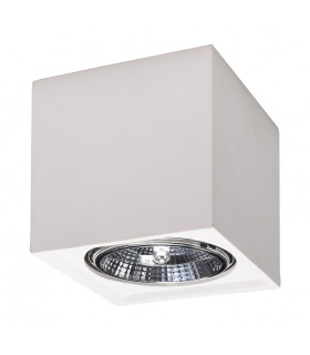 Surface Mounted Ceramic Downlights Wall Lamp White GU10/ES111-1