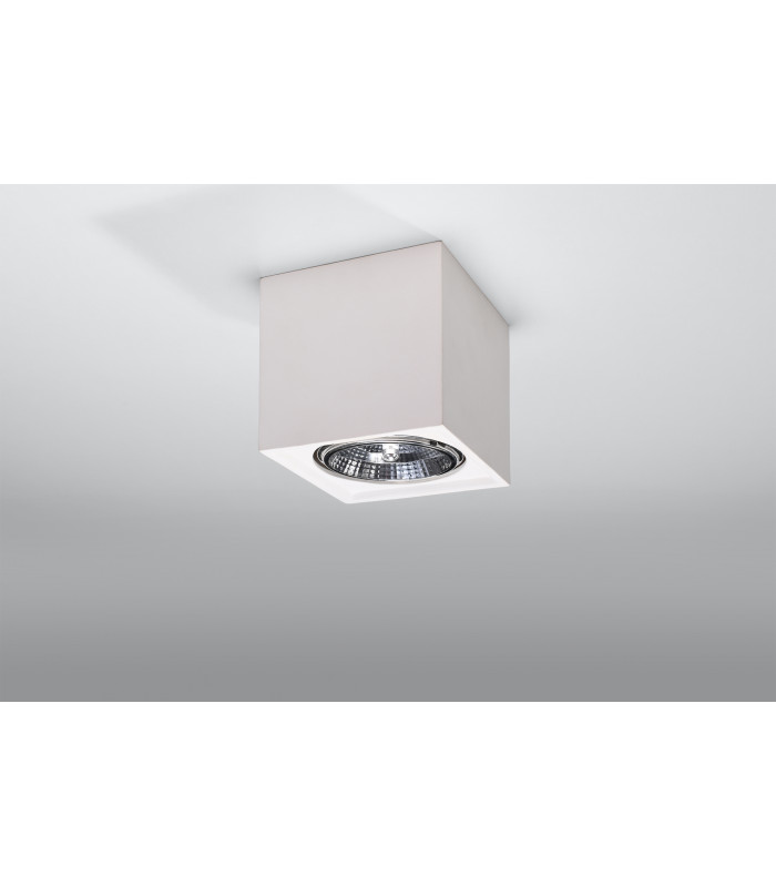 Surface Mounted Ceramic Downlights Wall Lamp White GU10/ES111-2