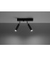 Twin Spotlight Flush 2 Light Black G9-3