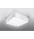 Flush Light White 55cm E27-2