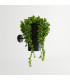 Wall Lamp Black GU10/ES111-3