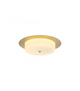 Ceiling 18W LED 3000K 1080lm IP44 Antique Brass 3yrs Warranty-1