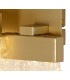 Wall Lamp 2 x 4.5W LED 3000K Painted Brushed Gold 3yrs Warranty-6
