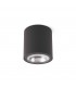 LED Outdoor Surface Mounted Ceiling Light Dark Grey IP54 - 1