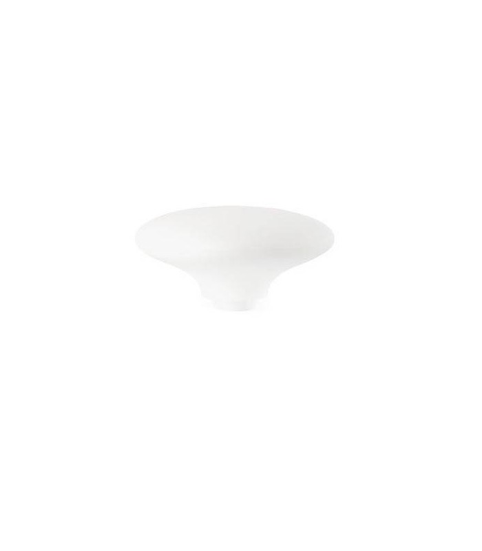 White Shade - 1