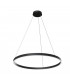 Modern Rim Integrated LED Black Ring Pendant Ceiling Light