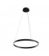 Modern Rim Integrated LED Black Ring Pendant Ceiling Light