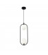 Modern Ring 2 Light Black Pendant Ceiling Light Glass Shade