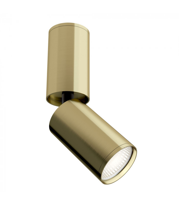 Technical FOCUS S Brass Surface Mounted Ceiling Lamp