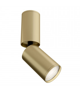 Technical FOCUS S Mint Gold Surface Mounted Ceiling Lamp