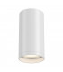Technical FOCUS S White Surface Mounted Ceiling Lamp