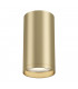 Technical FOCUS S Matt Gold Surface Mounted Ceiling Lamp