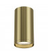 Technical FOCUS S Brass Surface Mounted Ceiling Lamp