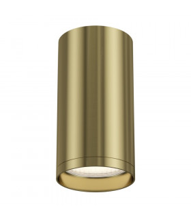 Technical FOCUS S Brass Surface Mounted Ceiling Lamp