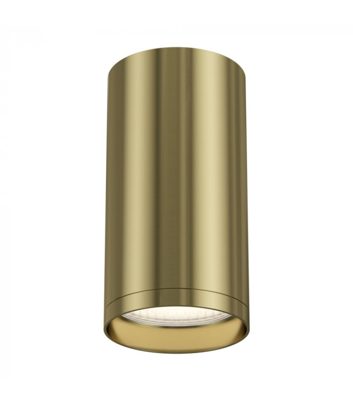 Technical FOCUS S Brass Surface Mounted Ceiling Lamp