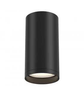 Technical FOCUS S Black Surface Mounted Ceiling Lamp