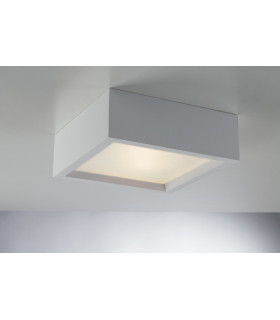 GABRIEL 2 Light Surface Mounted Downlight White 25x25x8.5cm-1