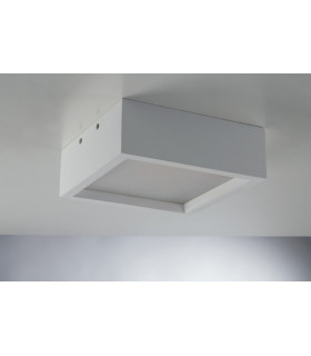 GABRIEL 2 Light Surface Mounted Downlight White 25x25x8.5cm-2